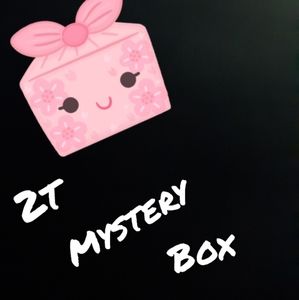 Mystery box of 2t toddler girl clothes